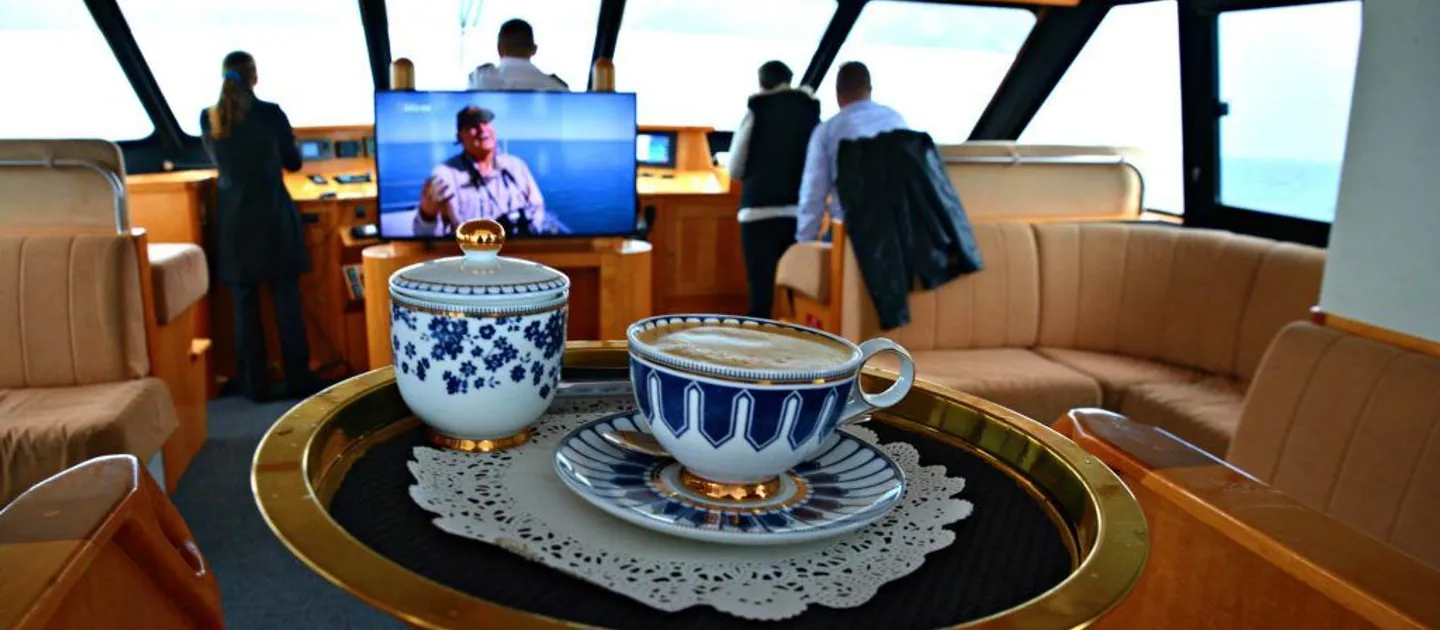VIP Captains Lounge, the ultimate Whale Watching experience